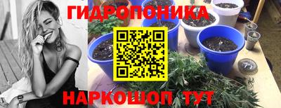 а пвп мука Тара