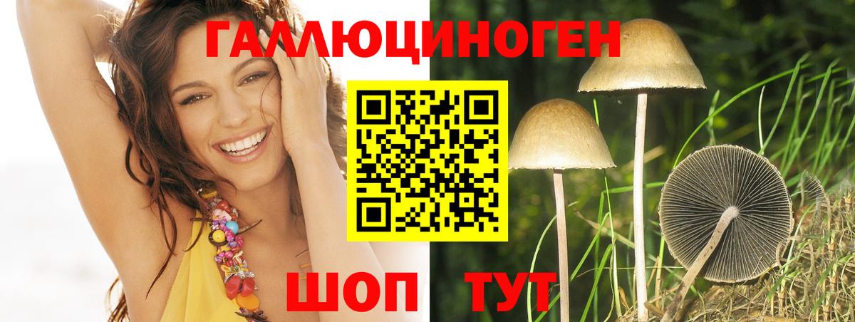 Галлюциногенные грибы GOLDEN TEACHER  Вход с VPN  Обнинск 