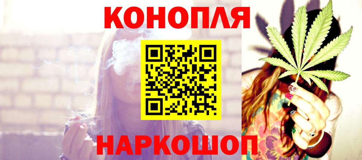 Бошки Шишки план Обнинск